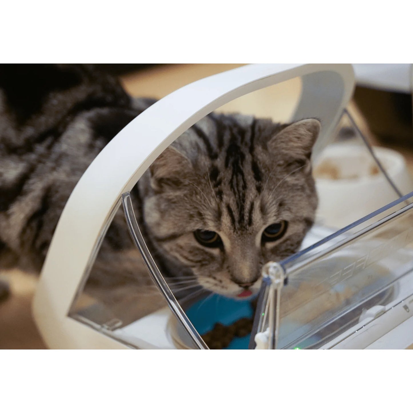 2026 2025 Surefeed Distributeur Automatique à Microchip, Gamelle Intelligente pour Chiens et Chats