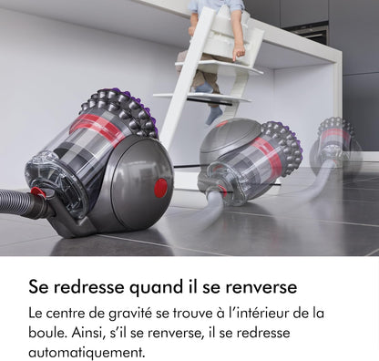 2026 2025 Aspirateur Dyson Big Ball Parquet 2