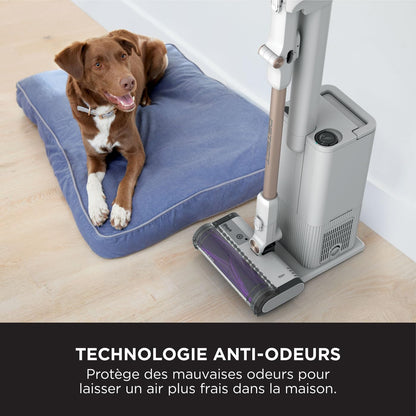 2026 Shark Detect Clean & Empty IW3612AMZEU, Aspirateur sans Fil, Blanc, 240 W, 2 liters