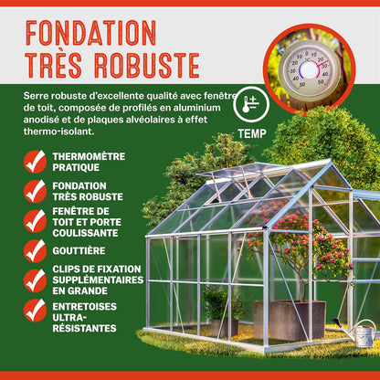 2026 Gardebruk Serre de Jardin en Aluminium 7,63m&sup3; abri ext&eacute;rieur pour Plantes l&eacute;gumes 250x190x195cm avec fen&ecirc;tres