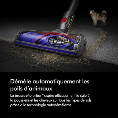 2026 2025 Dyson V8 Advanced™ Aspirateur Balai sans Fil – 130 AW, 40 Min d’autonomie, Brosse Motorbar Auto-démêlante, Accessoires combinés, Station Murale, Argent/Nickel